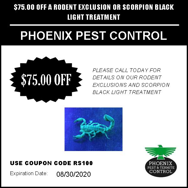 $75 OFF Pest Control | Phoenix Pest Control, Termite Treatment Phoenix AZ