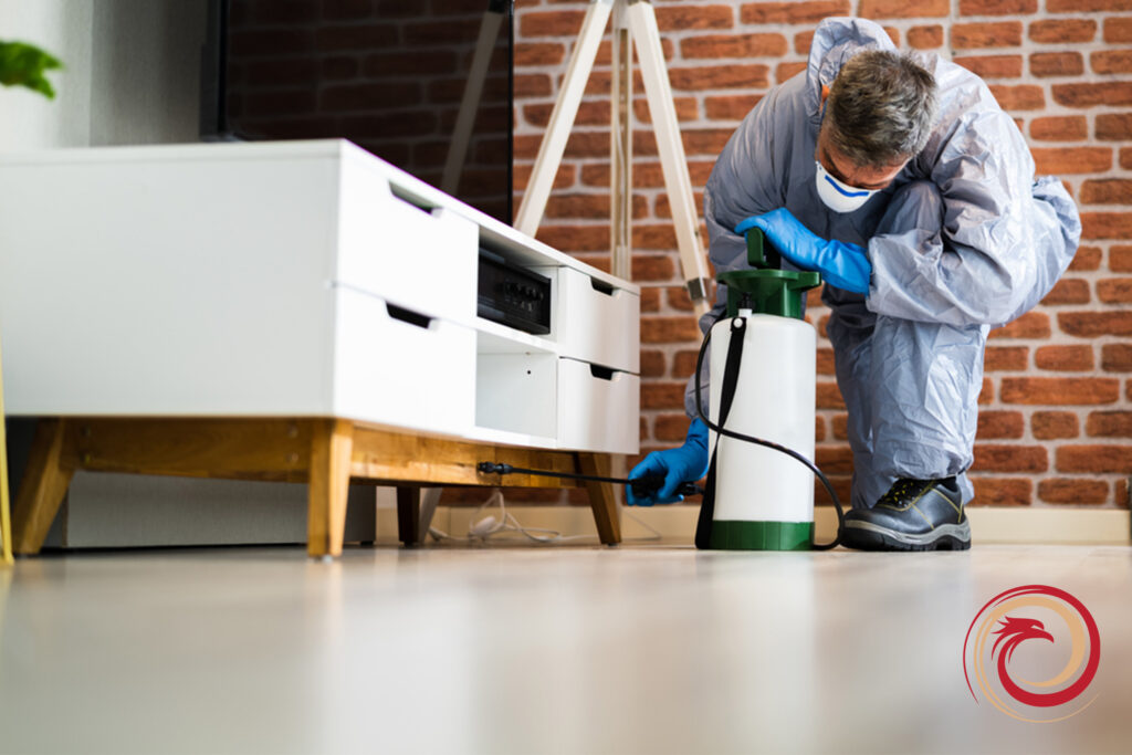 interior pest control