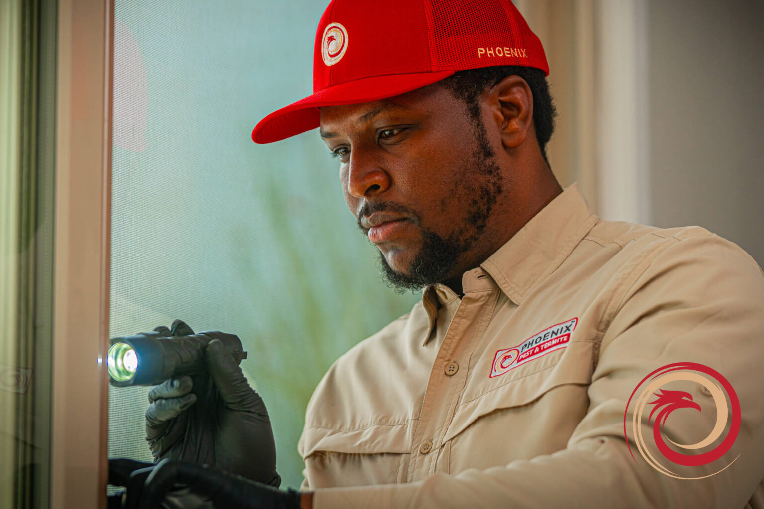 Phoenix Exterminating Cicadas in Arizona | Phoenix Pest & Termite Control